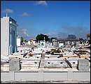 DSCF2095.jpg