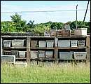DSCF2098.JPG