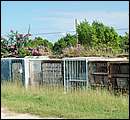 DSCF2102.JPG