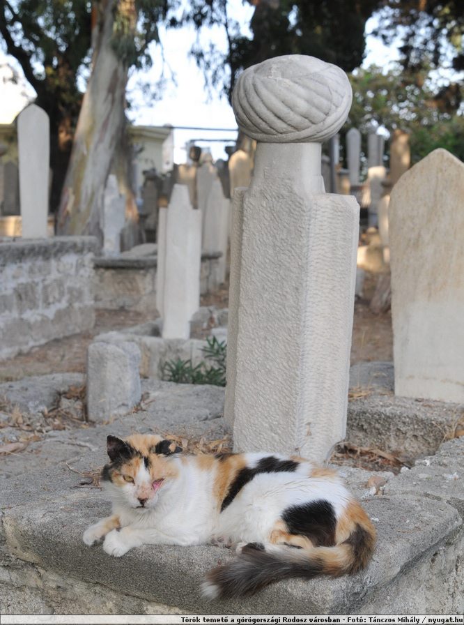 DSC_5387a.jpg