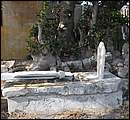 DSC_5031.JPG
