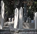 DSC_5041.JPG