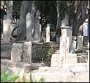 DSC_5043.JPG