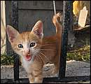 DSC_5393a.jpg