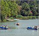 DSC_1713.JPG