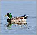 DSC_1724.JPG