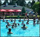 DSCF6460.jpg