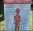 DSCF7438.jpg