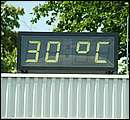 DSCF1381.jpg