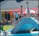 DSCF3354.jpg