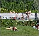 DSC_9425.JPG
