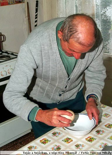 DSCF0228_toj.jpg