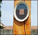 DSCF3695.JPG
