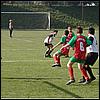 Image26.jpg