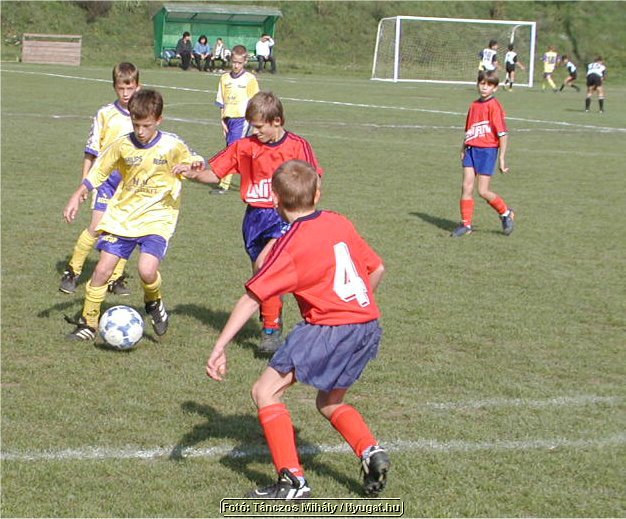Image1.jpg