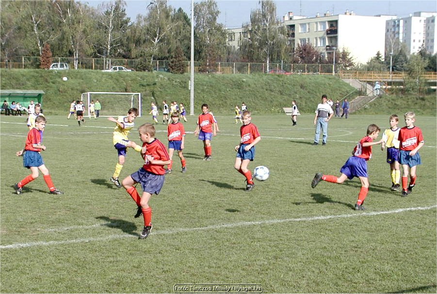 Image7.jpg