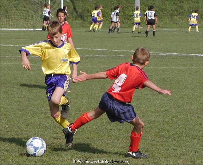 aImage4.jpg