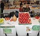 DSC_0743.JPG