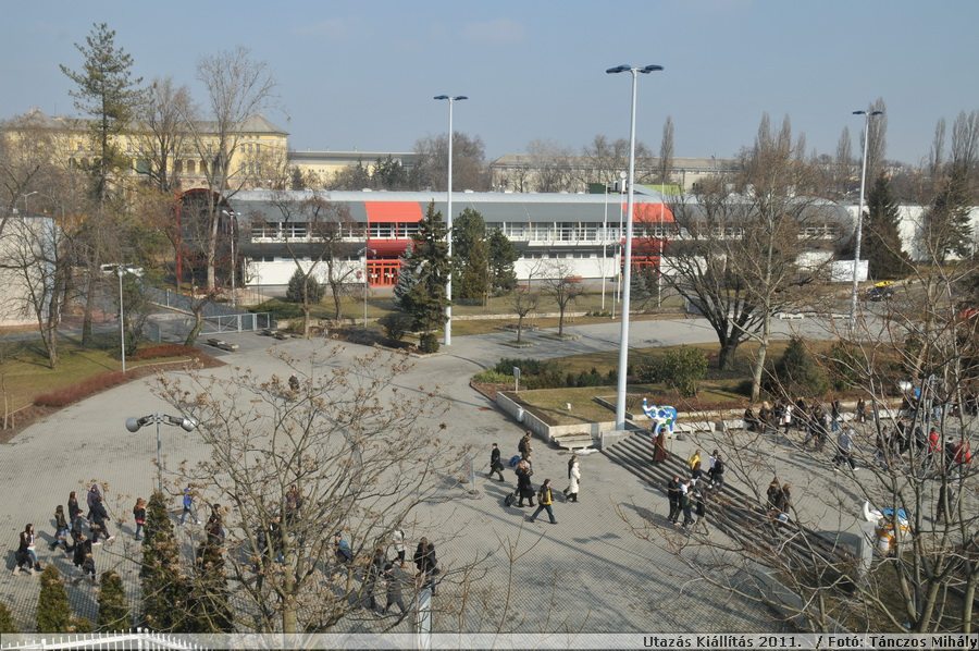 DSC_5394.JPG
