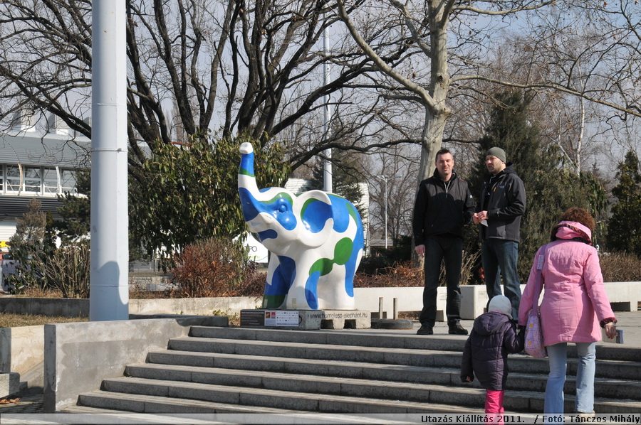 DSC_6691.JPG