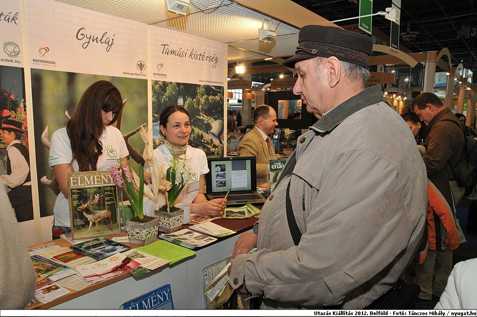 DSC_9164tm.JPG