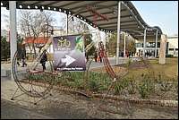 DSC_8902tm.JPG