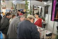 DSC_9031tm.JPG