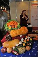 DSC_9070tm.JPG