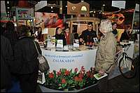 DSC_9116tm.JPG