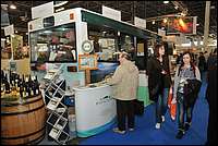 DSC_9135tm.JPG