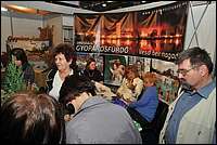 DSC_9195tm.JPG