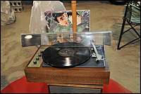 DSC_9379tm.JPG