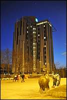 DSC_9892tm.JPG