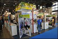 DSC_9607tm.JPG