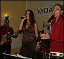 DSCF5651.jpg