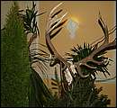 DSCF5654.jpg