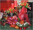 DSC_5016.JPG