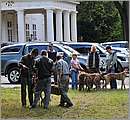 DSC_6564.JPG