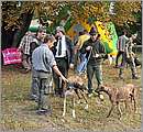 DSC_6567.JPG