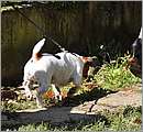 DSC_6610.JPG