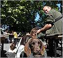 DSC_6619.JPG