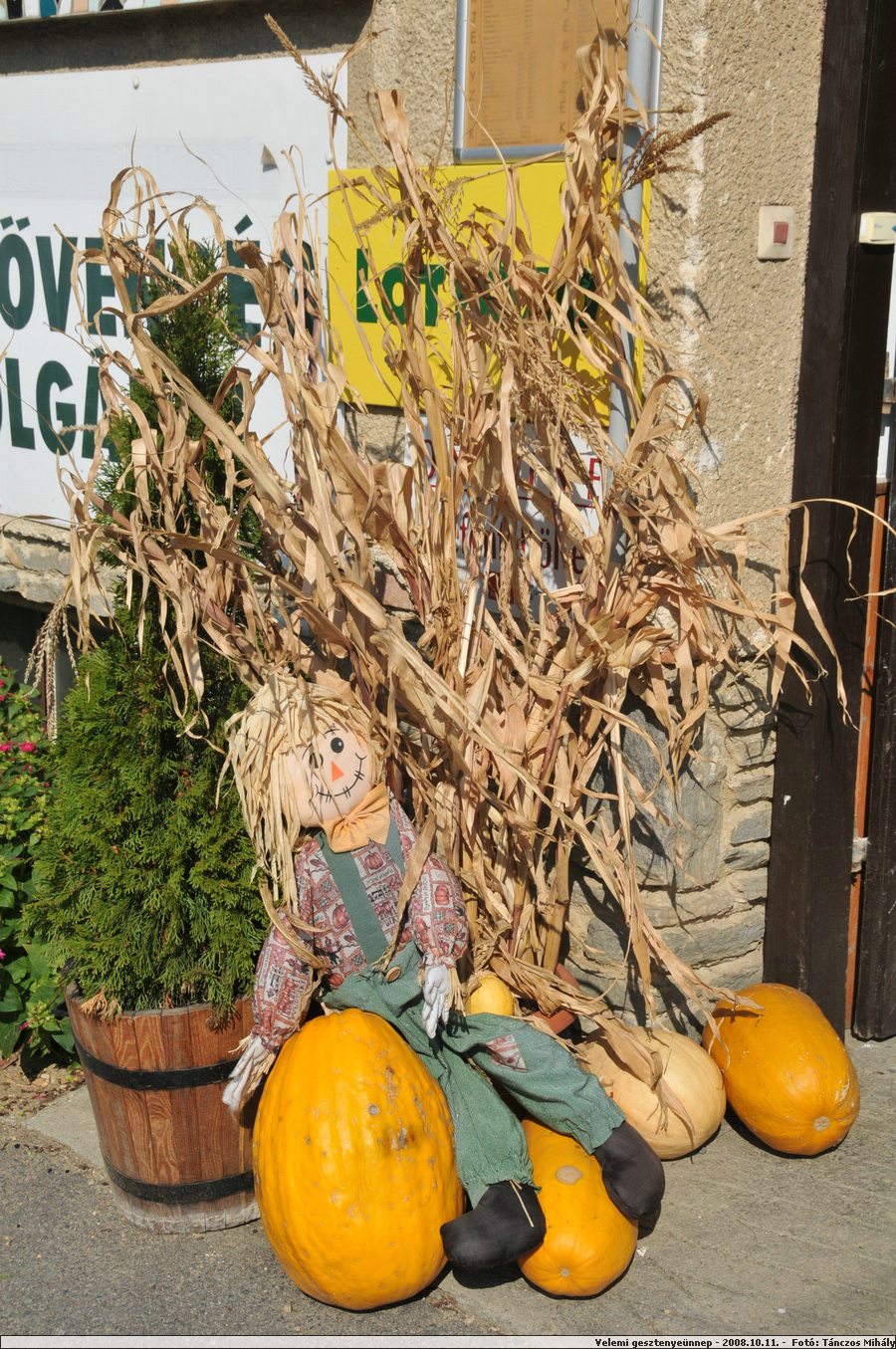 DSC_3664.JPG
