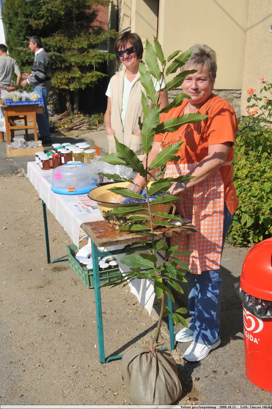 DSC_3666.JPG