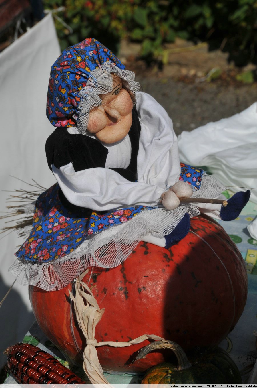 DSC_3729.JPG