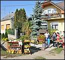 DSC_3576.JPG