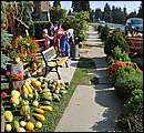 DSC_3579.JPG