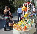 DSC_3721.JPG
