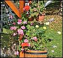 DSC_3797.JPG
