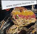 DSC_3935.JPG