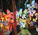 DSC_4051.JPG